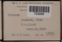 Image Associated With the Occurence